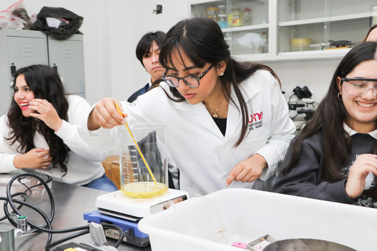 LABORATORIO MULTIDICIPLINARIO II-1