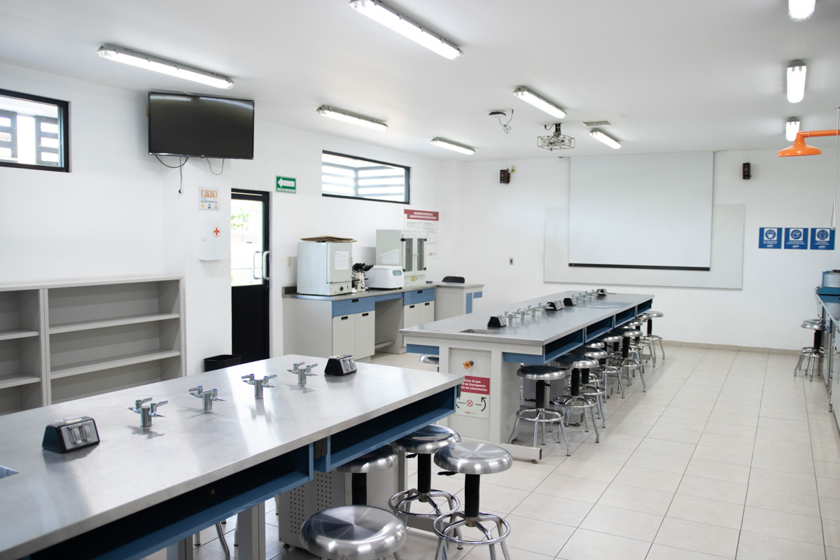 LABORATORIO MULTIDICIPLINARIO II-2