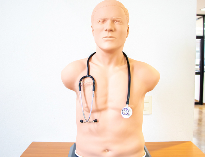 Modelo que permite identificar diferentes ruidos cardiacos pulmonares y abdominales, así como la auscultación carotídea para el diagnóstico de diferentes padecimientos mediante escenarios clínicos.